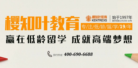 網建科技簽約北京櫻知葉文化交流，開啟科技中介服務新篇章