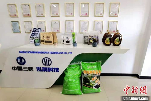 科技賦能長江生態修復 岸上綠意盎然，水中碧波重現