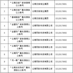 云南信息報(bào)旗下六產(chǎn)品獲首批互聯(lián)網(wǎng)新聞信息服務(wù)許可，賦能區(qū)域信息服務(wù)新格局